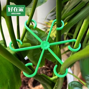 植物莖支架 一組四入 盆栽收攏架 花梗支架『好在家◇台灣出貨』植物花架 植物支撐桿 陽台花架 園藝支架 蘭花支架 花盆