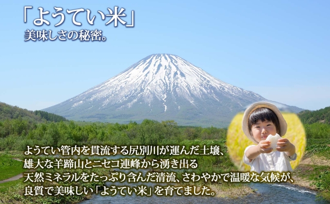 北海道産 ななつぼし 精米 5kg×2袋 計10kg お米 米 特A 白米 ブランド米 ご飯 ごはん おにぎり主食 産直 ギフト 備蓄 JAようてい 送料無料 北海道 倶知安町