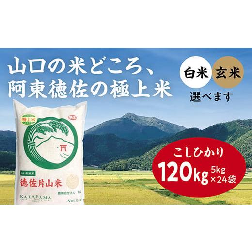 ふるさと納税 山口県 山口市 A-007 徳佐片山米こしひかり120kg