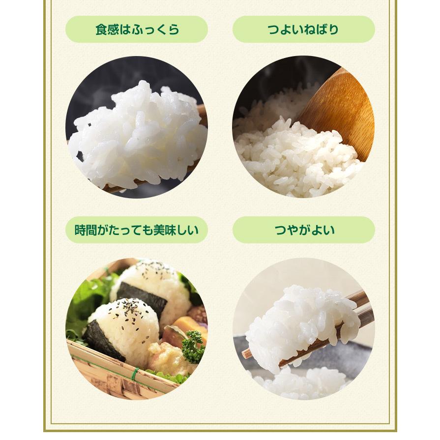 新米　米 お米 5kg 送料無料 夢しずく 佐賀県産　5年度 5kg