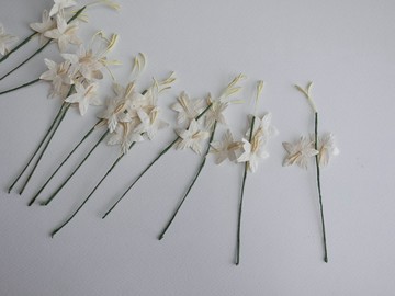 紙花，DIY 仿真材料，附花粉，25 支，2.5 公分，米白色。