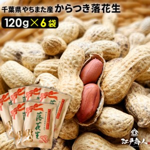 ★令和5年新豆スタート★千葉県やちまた産 からつき落花生 120g×6袋 高級感 クラフト袋 中手豊 ピーナッツ らっかせい 殻つき 送料無料