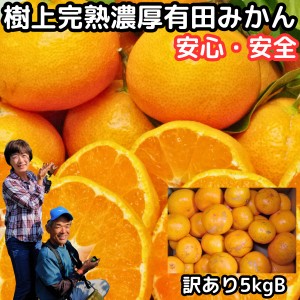 みかん 有田 訳あり 甘い 美味しい 糖度 送料無料 和歌山 有田柑橘さんさん 樹上完熟 わけあり B品 早生 温州 有田みかん 5kg 2l～ss  訳