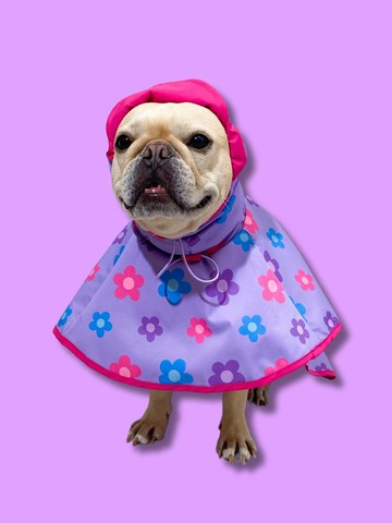 Easy to Wear Daisy Raincoat
