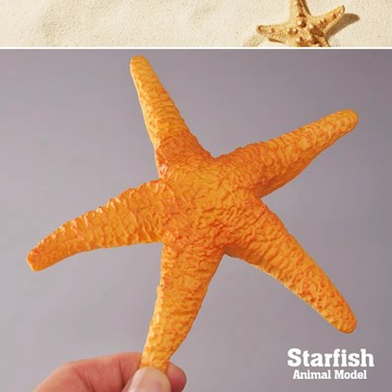 E哥❤外單正品 正版仿真動物模型 野生海洋巨型海星 男孩兒童玩具