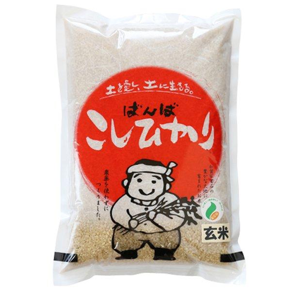 新米 令和5年  2023年産 石川県産 特別栽培米 農薬を使わないこしひかり 玄米2kg 産地直送 無農薬 コシヒカリ