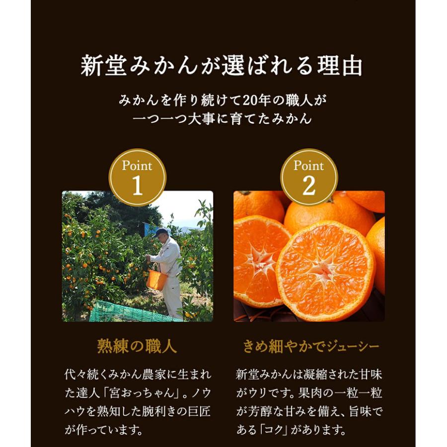 『有田の新堂みかん』早生 S〜M〜L混同3kg 蜜柑 紀州 和歌山 有田 人気 おすすめ