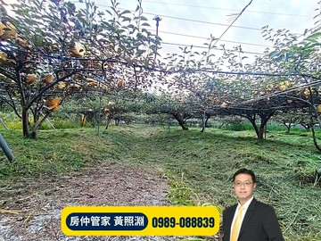 后里馬場旁｜28米x66米農地｜有水電可請資材室｜台中市后里區牛稠坑段