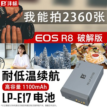 灃標EOS R100高容量R50適用佳能R8 R10電池LP-E17微單RP M3 M5 M6II相機760D 750D數碼800D二代77D充電器200D