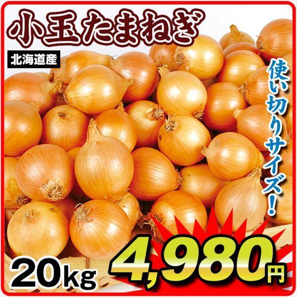 玉ねぎ 20kg 北海道産 小玉たまねぎ ご家庭用 送料無料 食品