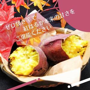 AK002　濃厚な甘みさつまいも 紅はるか10kg（茨城県共通返礼品・行方市産）