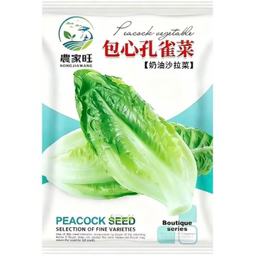 【 正宗原裝 】台灣當季 包心孔雀菜種子黃金孔雀萵苣 結球翠玉菜 尖尾萵苣 家庭菜園 易栽種 生菜種籽 可盆栽