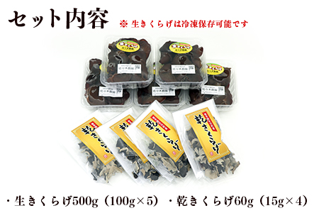 国産　生きくらげと乾燥きくらげ　計560ｇ　きくらげ専門農家直送　無農薬