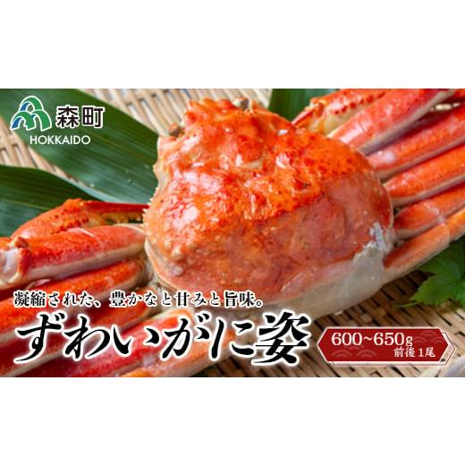 ふるさと納税 北海道 森町 ずわいがに姿 600〜650g前後 1尾 ＜ワイエスフーズ＞ かに カニ 蟹 ガニ がに 森町 ふるさと納税 北海道 ずわいがに ずわいかに ズ…