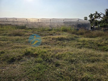 萬丹休閒小農M｜屏東縣萬丹鄉萬後段