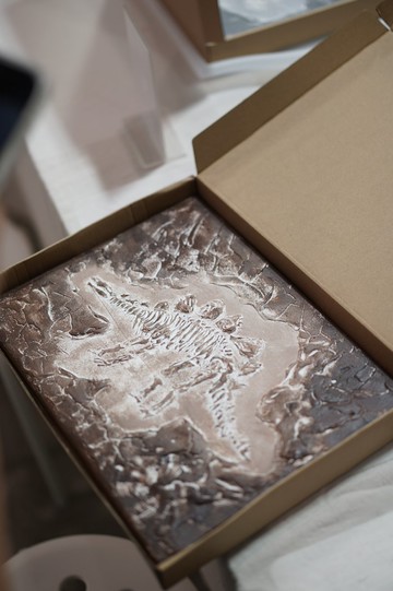 DIY禮盒現貨AHM IARTS 厚砌畫-恐龍化石