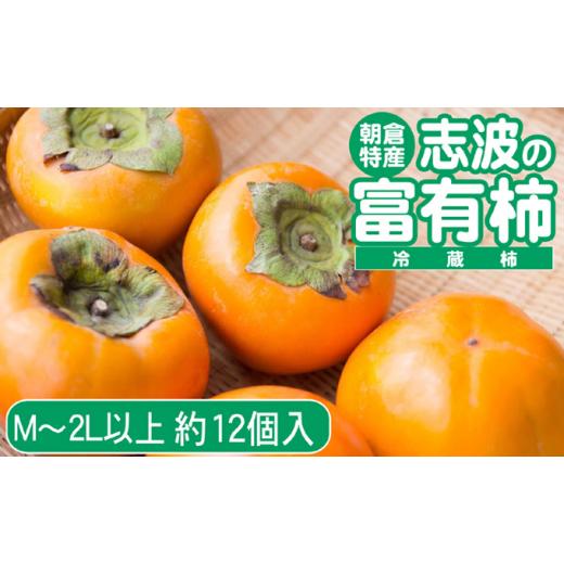 ふるさと納税 福岡県 朝倉市 2023年先行予約 志波の富有柿 M〜2Lサイズ×約12個入（冷蔵）※配送不可：離島