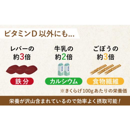 ふるさと納税 長崎県 平戸市 太った医者で社長の健康のためにも作ってる佐賀の人にはナイショのおいしすぎるきくらげ。平戸の乾燥きくらげ 約…