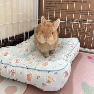 好物品質優選 寵物墊子夏季通用兔子趴趴墊貓咪狗狗睡墊防水狗地墊貓窩狗窩加厚 睡墊 壹灣出貨
