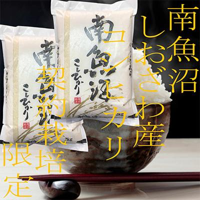 ふるさと納税 南魚沼市 生産者限定 契約栽培 南魚沼しおざわ産コシヒカリ 精米4Kg全12回