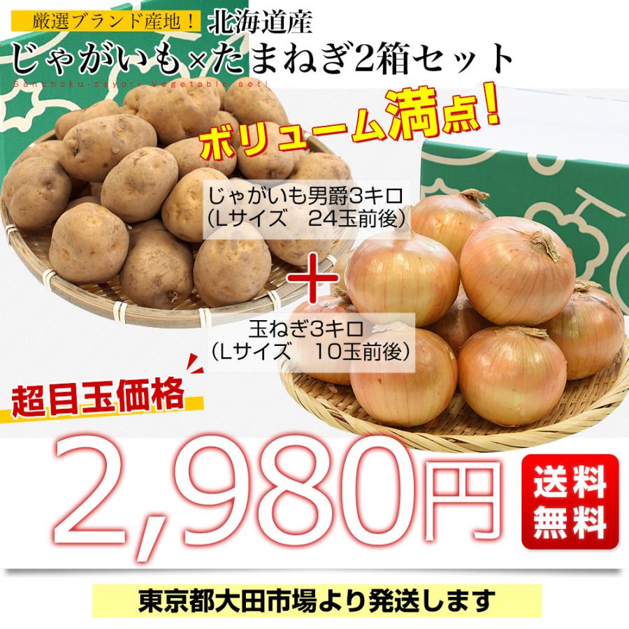 厳選ブランド産地！じゃがいも×玉ねぎ2箱セット（北海道産 男爵いも×玉ねぎ　Lサイズ各3キロ）送料無料　ジャガイモ　玉葱　馬鈴薯　きたみらい　市場発送