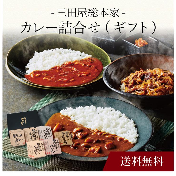 お取り寄せ 送料無料 内祝い 〔 三田屋総本家 カレー詰合せ(ギフト) 〕 出産内祝い 新築内祝い 快気祝い カレーシチュー