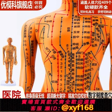 {可打統編 保固一年}優模科針灸穴位人體模型可扎針練習多尺寸規格軟硬男女款模型可選