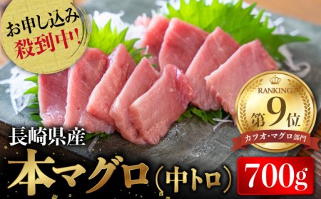 ＜累計19,000件突破＞長崎県産 本マグロ「中トロ」(約700g) まぐろ マグロ 中トロ 鮪 まぐろ マグロ さしみ 刺身 刺し身 マグロ まぐろ 中トロ セット 冷凍 まぐろ マグロ 中トロ  東彼杵町 大村湾漁業協同組合 [BAK012]