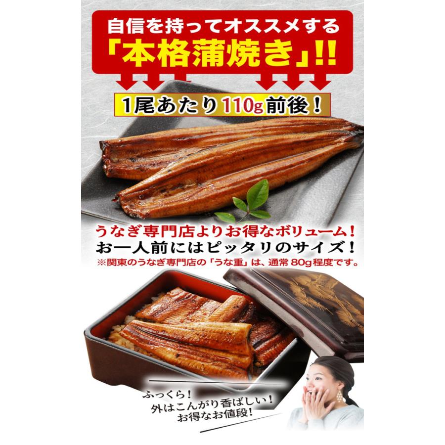 父の日 プレゼント ギフト うなぎ  蒲焼き 国産  鹿児島産 長蒲焼き2本セット 約110g×2 ギフトBOX 60代 70代 クール