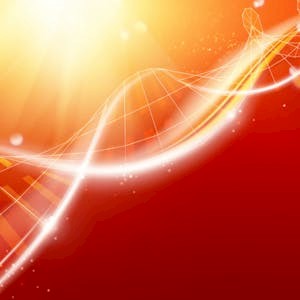 Synaptic Pharmacology