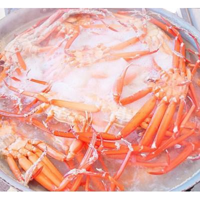 ふるさと納税 射水市 ボイル紅ズワイ蟹　約1kg(2〜3尾)