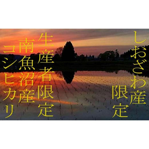 ふるさと納税 新潟県 南魚沼市 しおざわ産限定 生産者限定 南魚沼産コシヒカリ