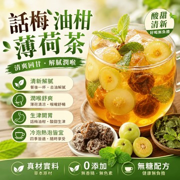 【隔日 達】 話梅油柑薄荷茶 解膩茶 飯後解膩 清爽茶飲 生津回甘 酸甜爽口 冷泡茶包 話梅 油柑 薄荷 茶包 水果茶