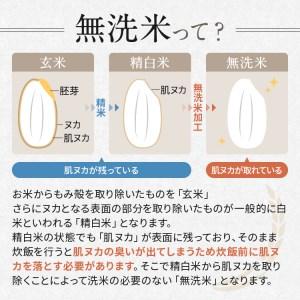 ふるさと納税  信州米 こしひかり 無洗米 10kg 長野県産 長野県千曲市