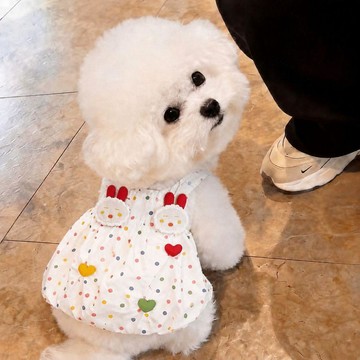 💕在臺出貨🔥彩色波點連衣裙寵物衣服貓咪小型犬小體狗狗夏季吊帶裙子馬爾濟斯
