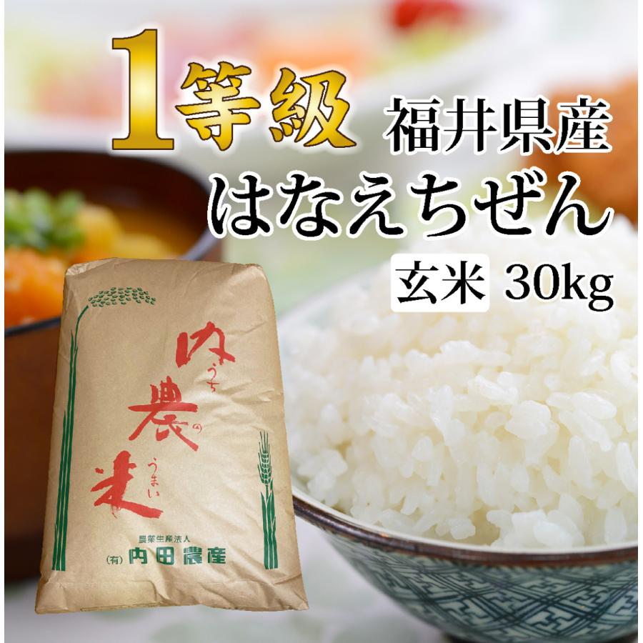 はなえちぜん 玄米 30キロ 送料無料 令和5年度産 新米 1等級 福井県産 令和 おいしいお米 ふるさとの味