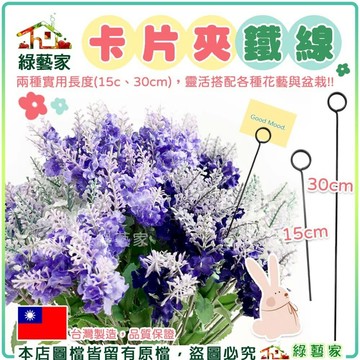 【綠藝家】卡片夾鐵線15cm、30cm 園藝花插 園藝固定 金属花插 花束卡片夾 黑色金屬卡片插 鐵卡叉 花插