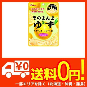 ライオン菓子 そのまんまゆず 23g ×6個