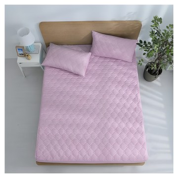 Ishur 伊舒爾 3M石墨烯防潑水保潔墊 台灣製造 100%滌綸  150 x 186cm  粉紫