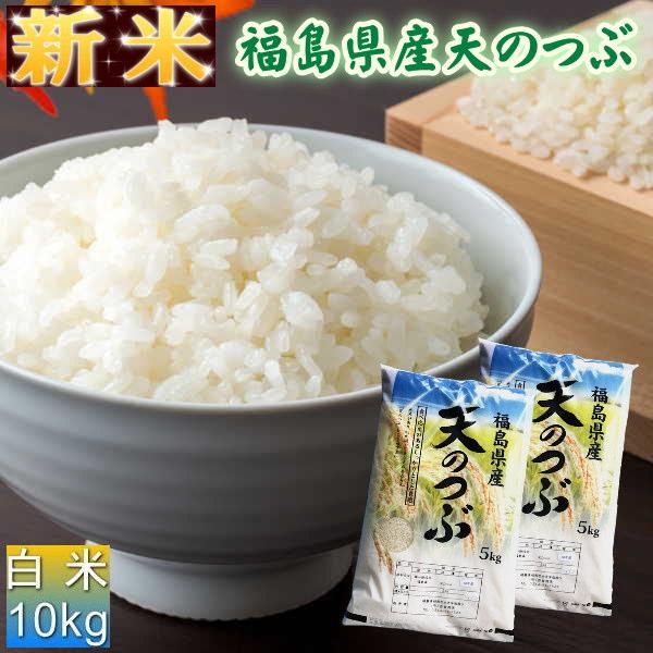 クーポン利用で10％OFF 新米 天のつぶ 10kg(5kg×2袋) 福島県産 お米 5年産 送料無料 『令和5年福島県産天のつぶ(白米5kg×2)』