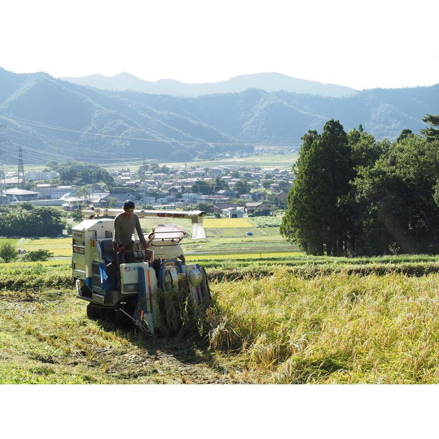 有機コシヒカリ 玄米 10kg 有機JAS (福井県 米農房そまねこ) 産地直送