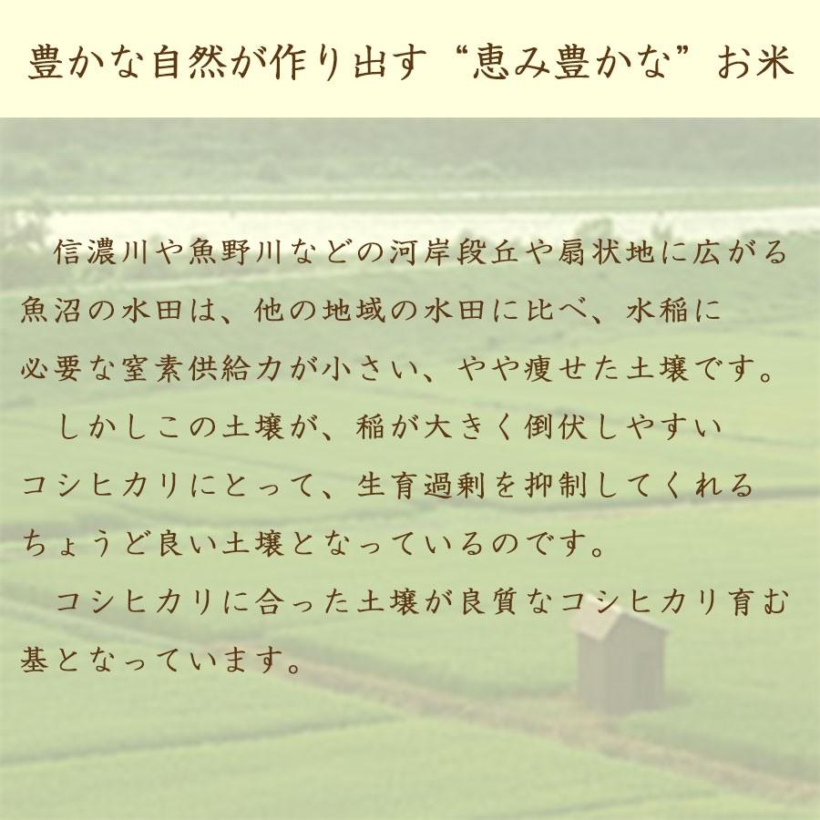 米 お米 魚沼 コシヒカリ 5kg 新潟県産 令和5年産 白米 贈答