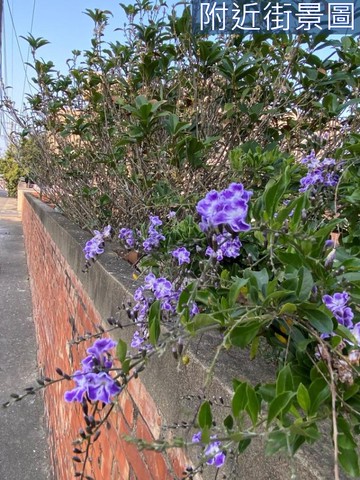 專任 台南將軍保源段鄉村社區方正乙種建地｜台南市將軍區保源段