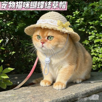 💕在臺出貨🔥夏日寵物貓咪草帽蕾絲花邊蝴蝶結公主帽戶外遮陽草帽寵物裝扮頭飾