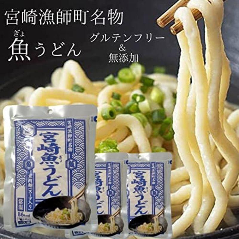 器 宮崎魚うどん 240g ×