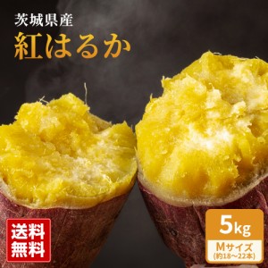 新物  紅はるか 甘いさつまいも 茨城県産 約5kg Mサイズ 約18～22本 丸進青果セレクト 丸進青果 さつまいも さつま芋 芋 スイートポテト