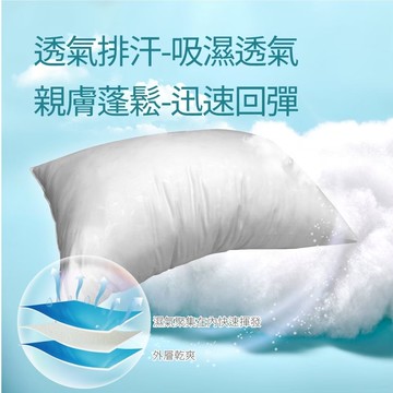 【迪克菲爾 DICK FEER】可機洗安睡羽絲絨對枕(2顆包裝)