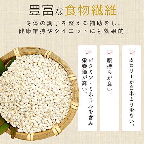 国産もち麦ごはん 150g ×48個