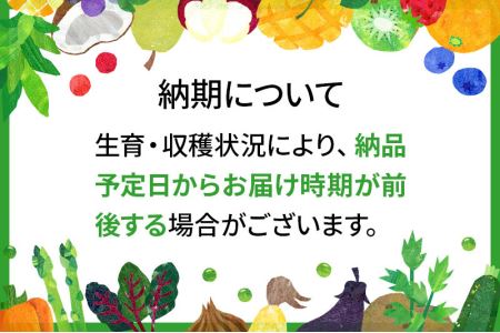 《定期便4ヶ月》令和5年産 あきたこまち特別栽培米6kg（2kg×3袋）×4回 計24kg秋田県産あきたこまち 4か月 4ヵ月 4カ月 4ケ月 秋田こまち お米 秋田