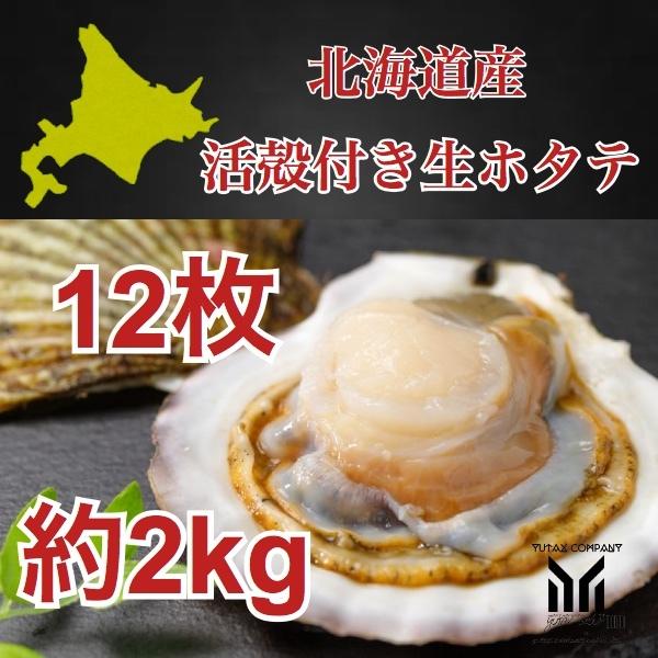 北海道産　殻付き　生ホタテ　12枚　約2kg 貝付き　帆立